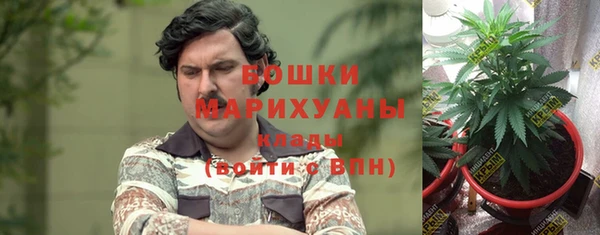 ГАЛЛЮЦИНОГЕННЫЕ ГРИБЫ Горно-Алтайск