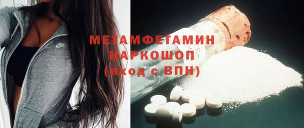 ГАЛЛЮЦИНОГЕННЫЕ ГРИБЫ Горно-Алтайск