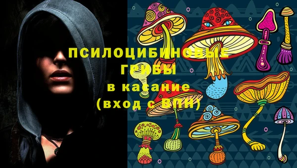 ECSTASY Горнозаводск