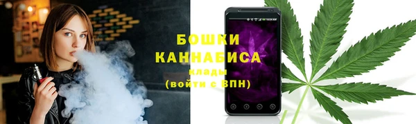 ГАЛЛЮЦИНОГЕННЫЕ ГРИБЫ Горно-Алтайск