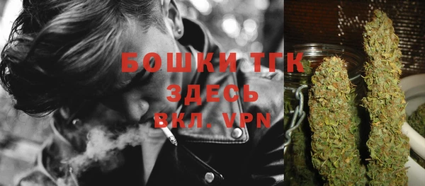 ECSTASY Горнозаводск