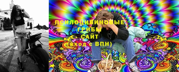 ГАЛЛЮЦИНОГЕННЫЕ ГРИБЫ Горно-Алтайск